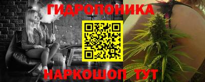 гидра Шелехов
