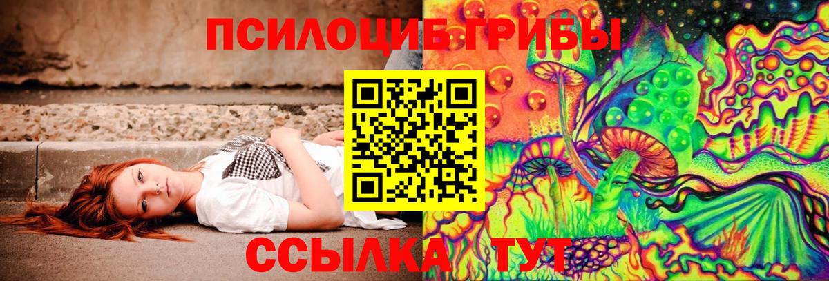 Псилоцибиновые грибы прущие грибы Строитель