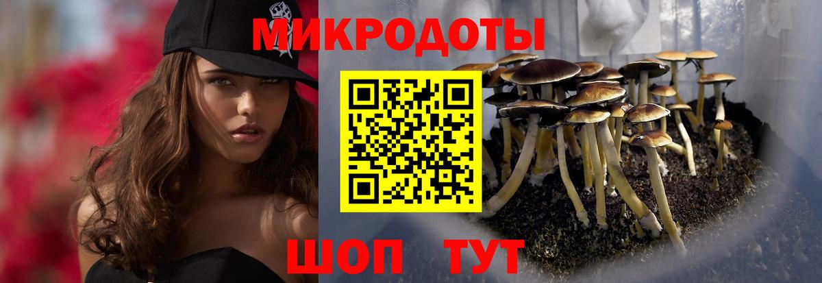 Строитель  магазин  наркотиков  Вход с VPN  Псилоцибиновые грибы Magic Shrooms 